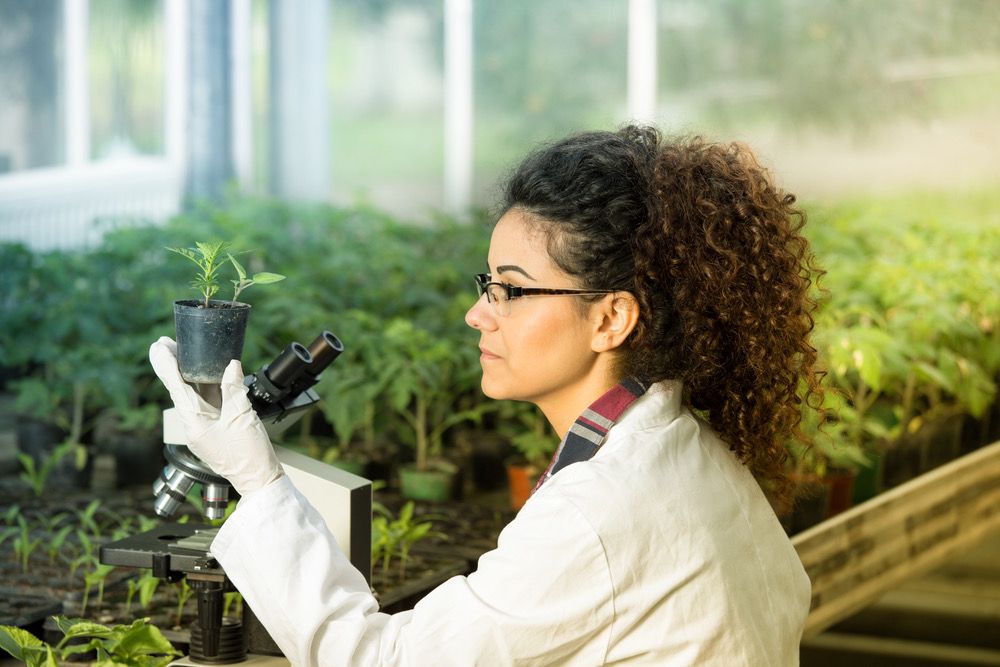 PROTEGER LAS PLANTAS, PROTEGER LA VIDA”, NUEVA EXPOSICIÓN  FOTOGRÁFICA EN EL PARQUE DE MORALES, EN JULIO