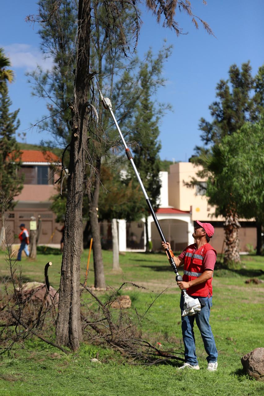 Alcalde Enrique Galindo encabeza labores de reforestación y rehabilitación del espacio público en el Domingo de Pilas 135